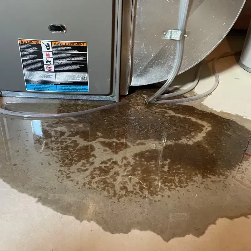 Appliance Leak Cleanup in Ogden Dunes, IN